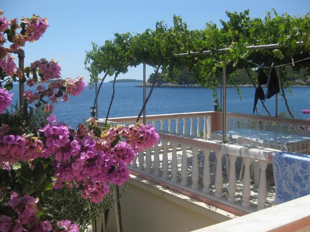 Apartments Maskovic Karbuni بريسبا المظهر الخارجي الصورة
